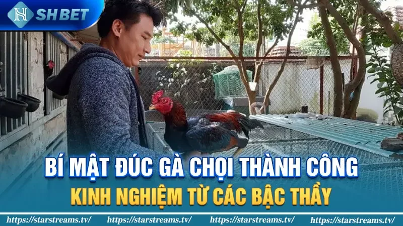 Bí Kíp Nuôi Gà Chọi: Bí Quyết Nuôi Gà Vô Địch 3 Bí mật đúc gà chọi thành công: Kinh nghiệm từ các bậc thầy