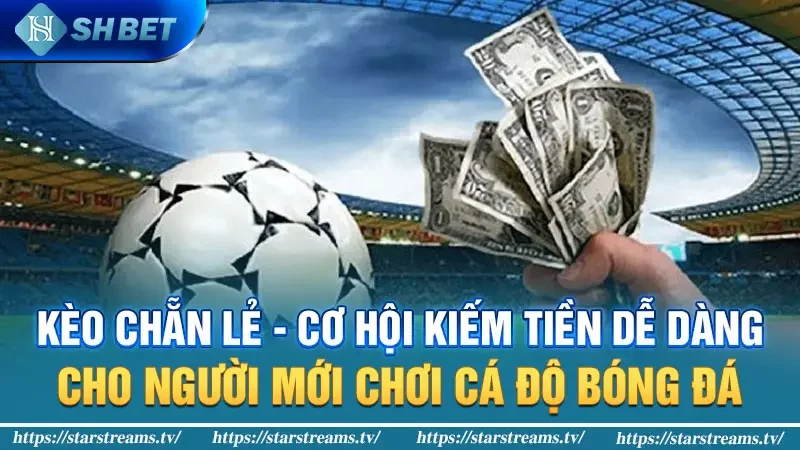 Bí mật thắng kèo chẵn lẻ bóng đá 2 Kèo chẵn lẻ - Cơ hội kiếm tiền dễ dàng cho người mới chơi cá độ bóng đá