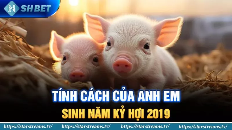 Khám Phá Kỷ Hợi Sinh Năm 2019 Mệnh Gì Chính Xác 2 Tính cách của người sinh năm Kỷ Hợi 2019